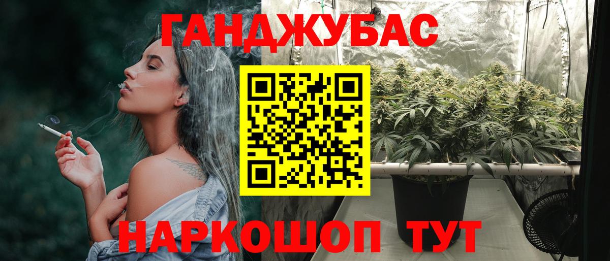 Конопля гибрид Зерноград